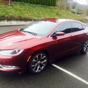 Right after tint appointment, 15%
